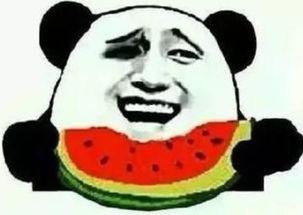 吃瓜群众梗来源,揭秘网络流行语的演变之路