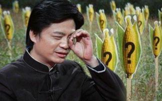 娱乐圈吃瓜老炮儿导演